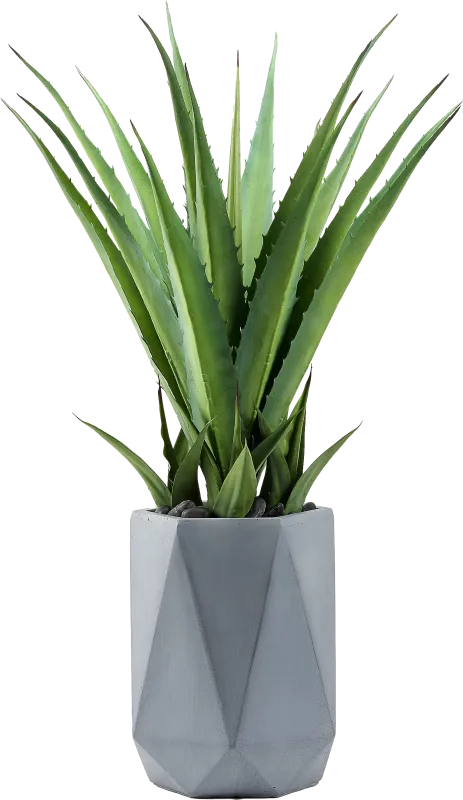 Altera Green 42 in. Artificial Succulent in Gray Planter