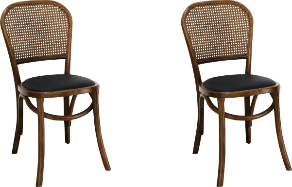 Dalerose Brown Side Chair, Set of 2