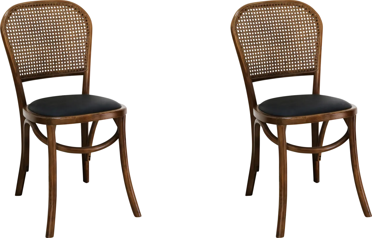 Dalerose Brown Side Chair, Set of 2