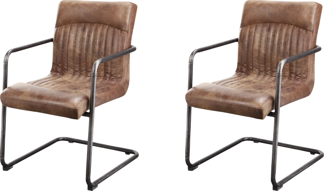 Medill Brown Arm Chair, Set of 2