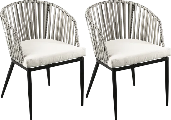 Eavie Natural Outdoor Accent Chair, Set of 2
