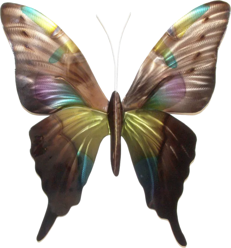Spotted Butterfly Multi Outdoor Artwork