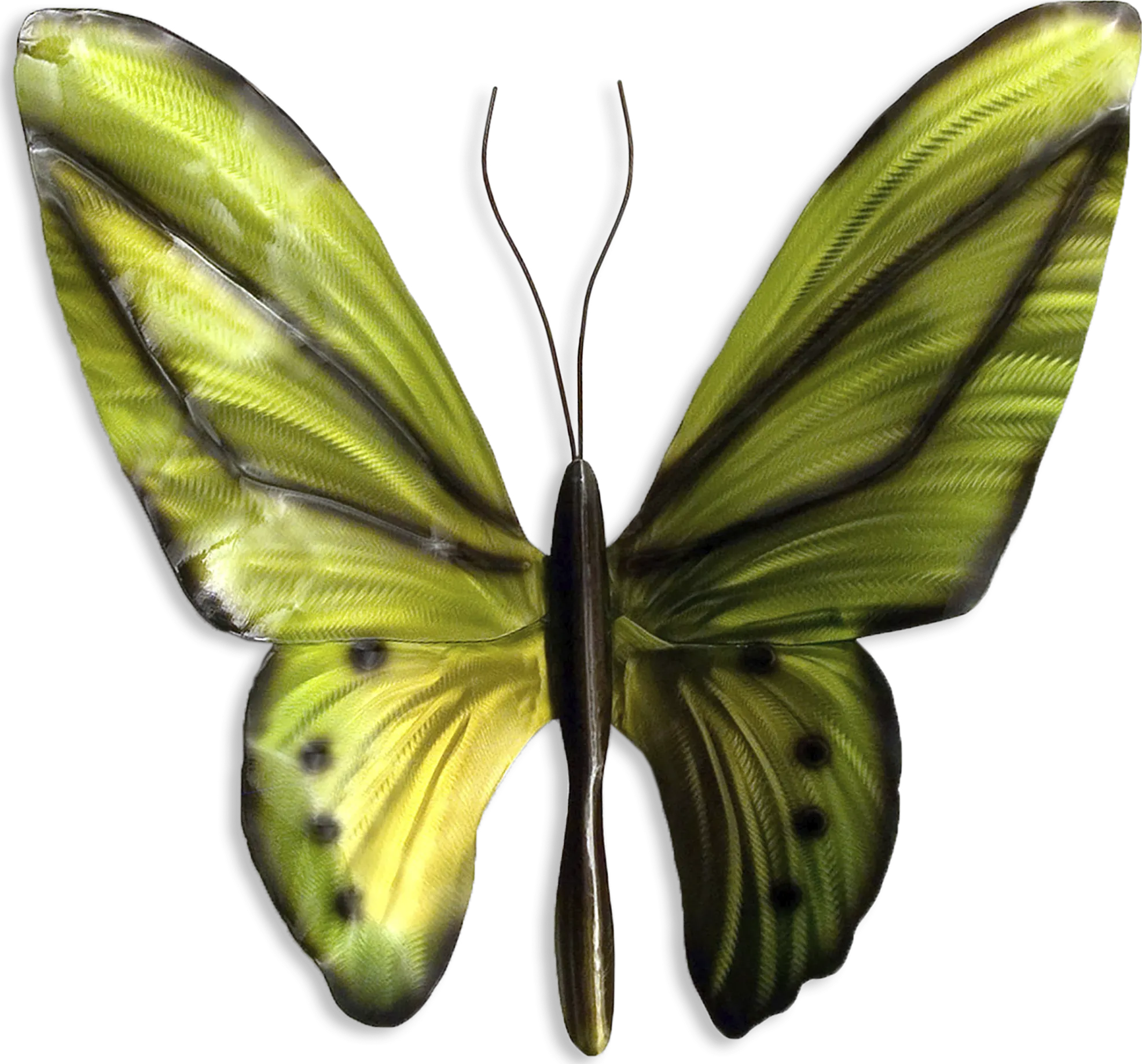 Birdwing Butterfly Green Outdoor Artwork - Thumbnail - Image 1