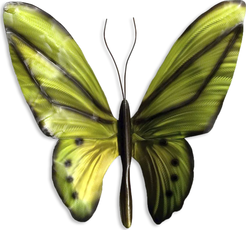 Birdwing Butterfly Green Outdoor Artwork