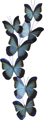 Butterfly Spray Blue Outdoor Artwork