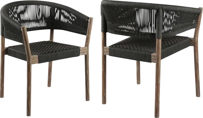 Arlajen Charcoal Outdoor Arm Chair, Set of 2