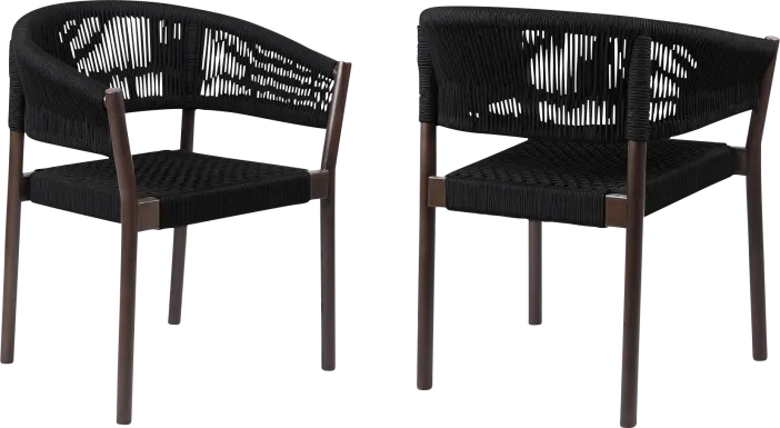 Arlajen Black Outdoor Arm Chair, Set of 2