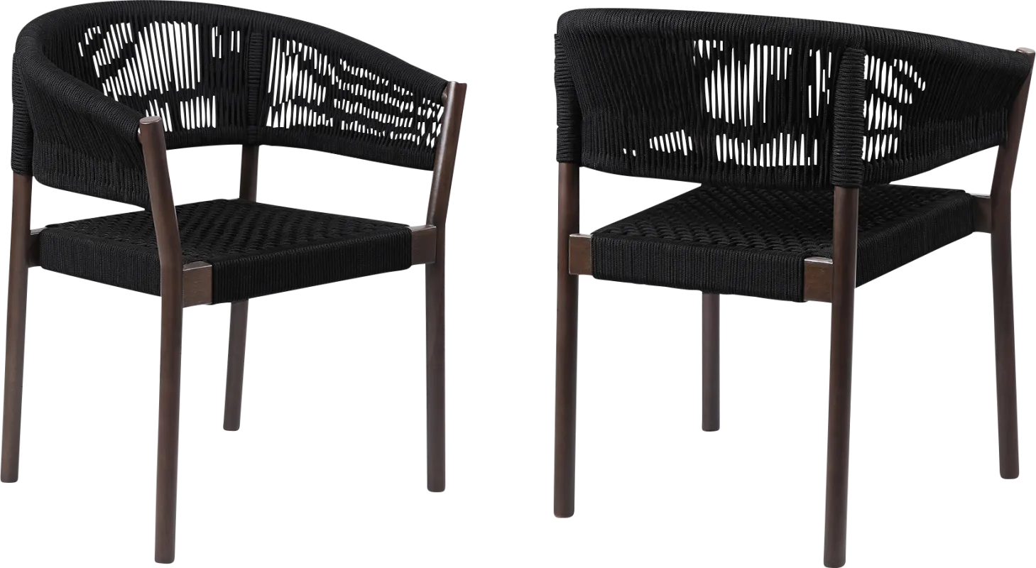 Arlajen Black Outdoor Arm Chair, Set of 2