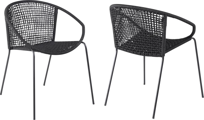 Terela Black Outdoor Arm Chair, Set of 2