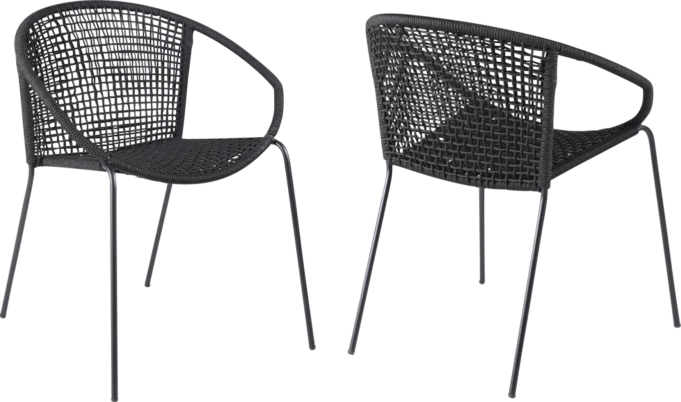 Terela Black Outdoor Arm Chair, Set of 2