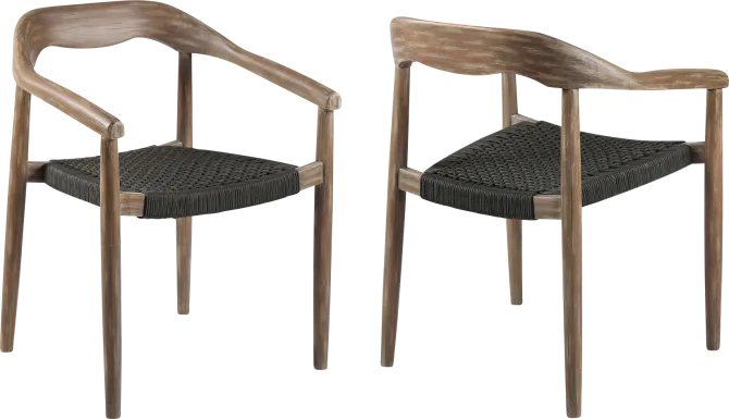 Clorelle Charcoal Outdoor Arm Chair, Set of 2