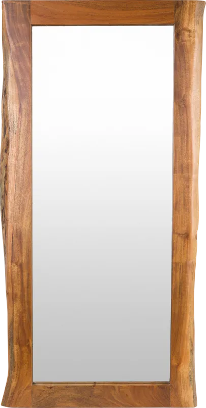 Eriella Brown Mirror