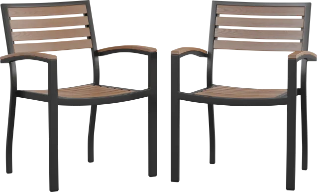 Outdoor Renoldor Brown Dining Chair, Set of 2