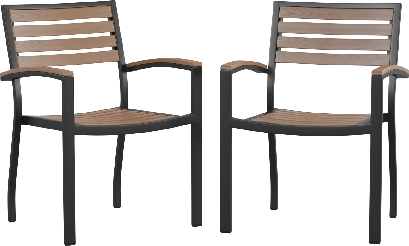 Outdoor Renoldor Brown Dining Chair, Set of 2