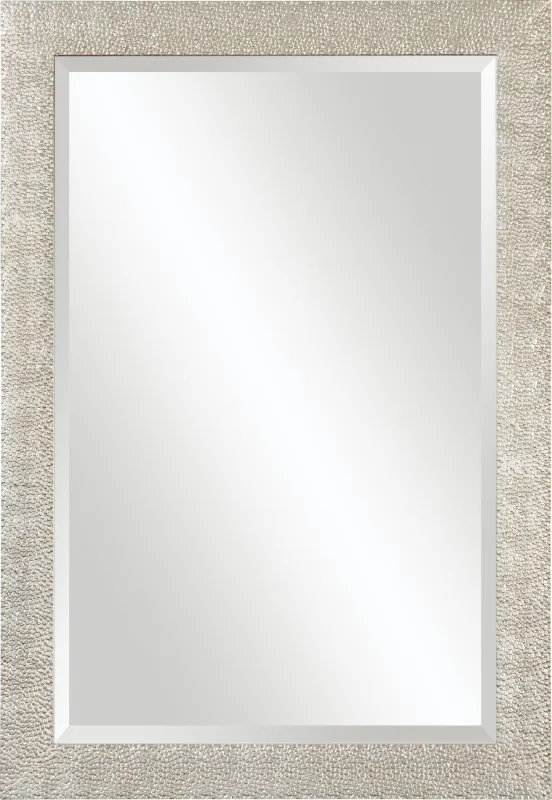Daryle Silver Mirror