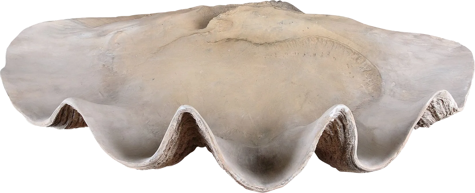 Renita White Bowl - Image 1