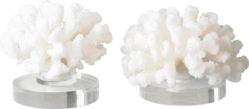 Avadale White Sculpture, Set of 2