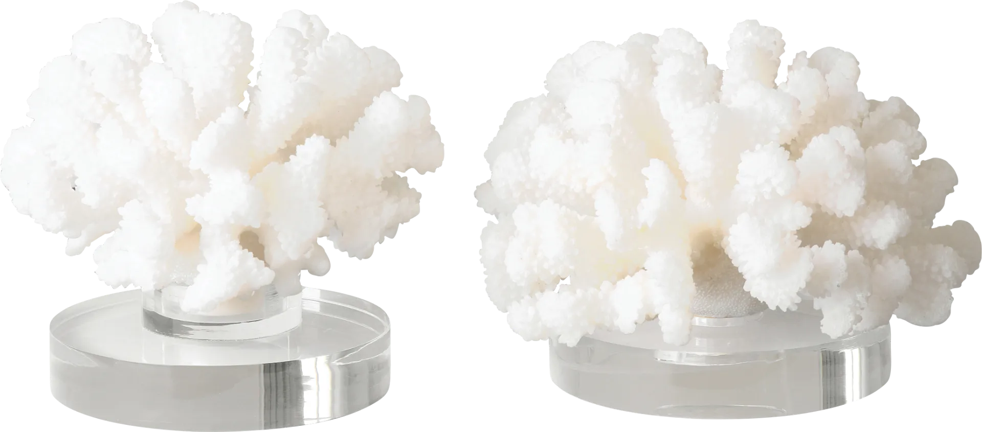 Avadale White Sculpture, Set of 2 - Image 1