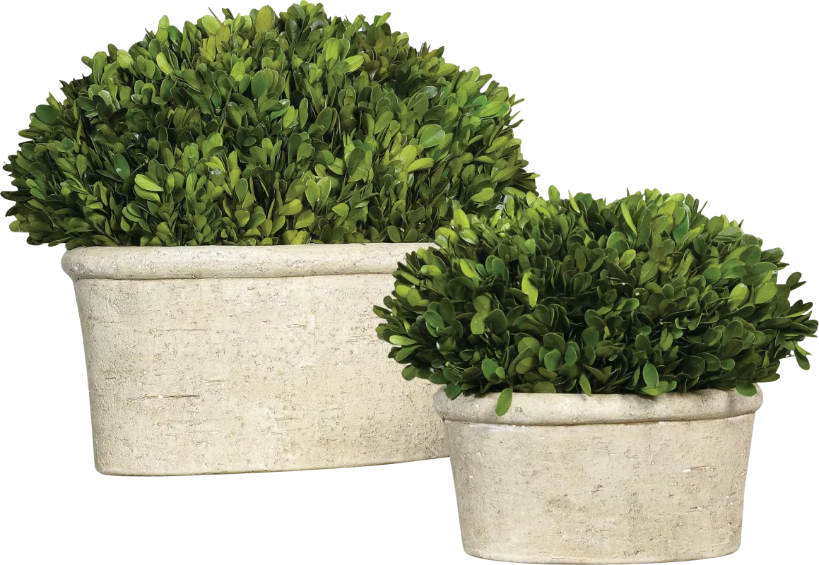 Venicia Tan Planter, Set of 2