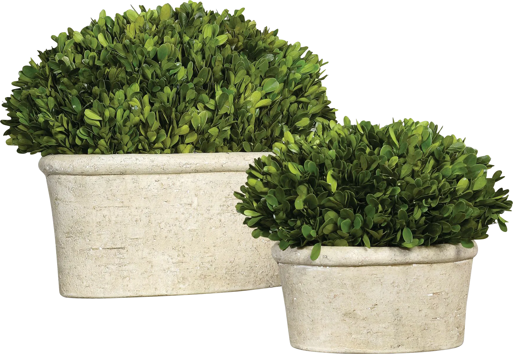 Venicia Tan Planter, Set of 2 - Image 1