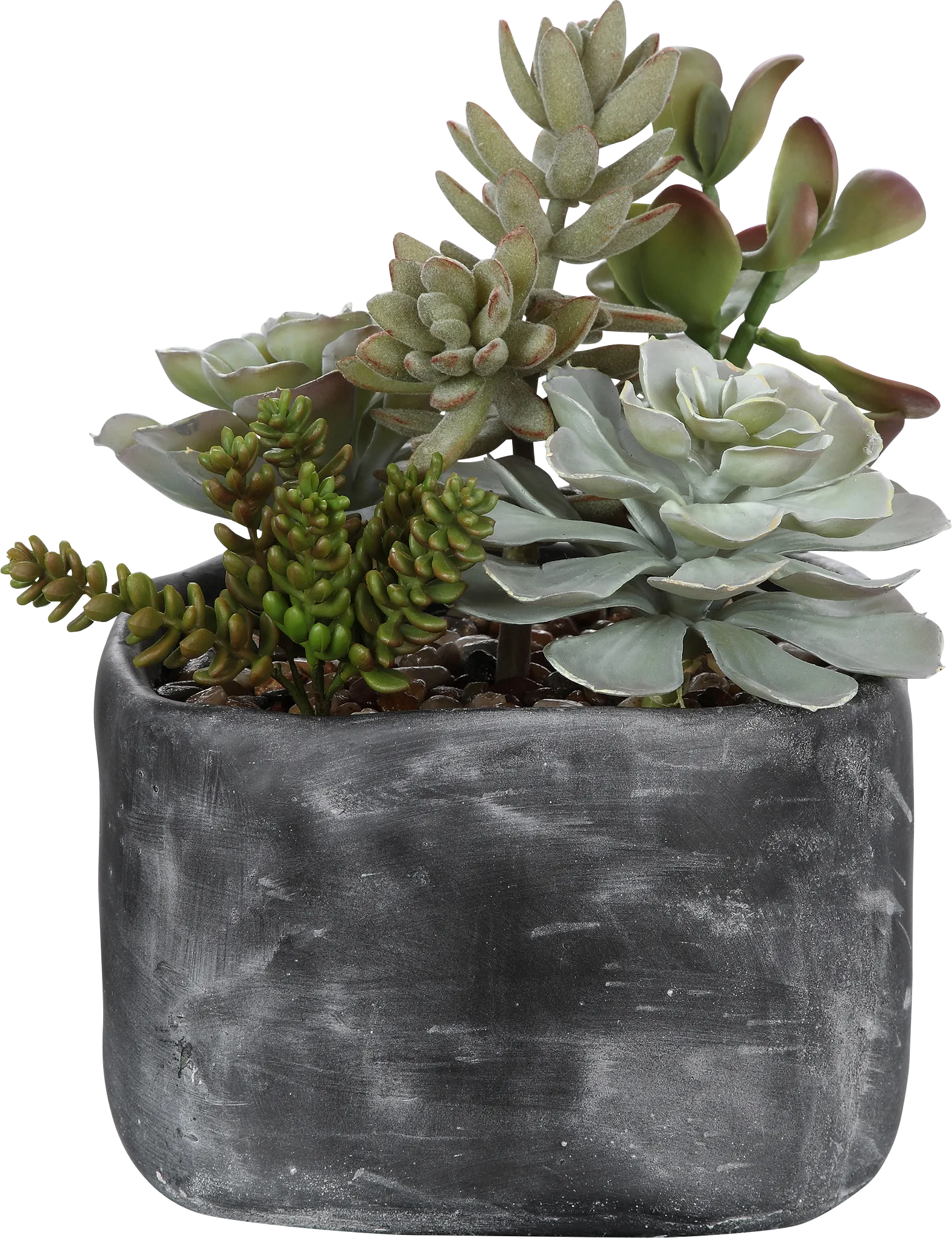 Dezlyn Gray Decorative Plant