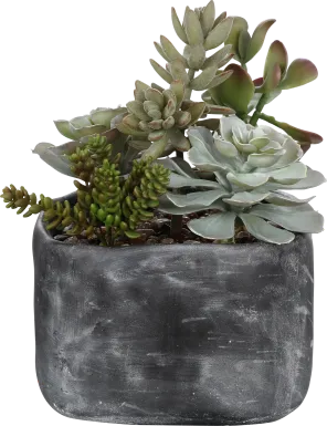 Dezlyn Gray Decorative Plant