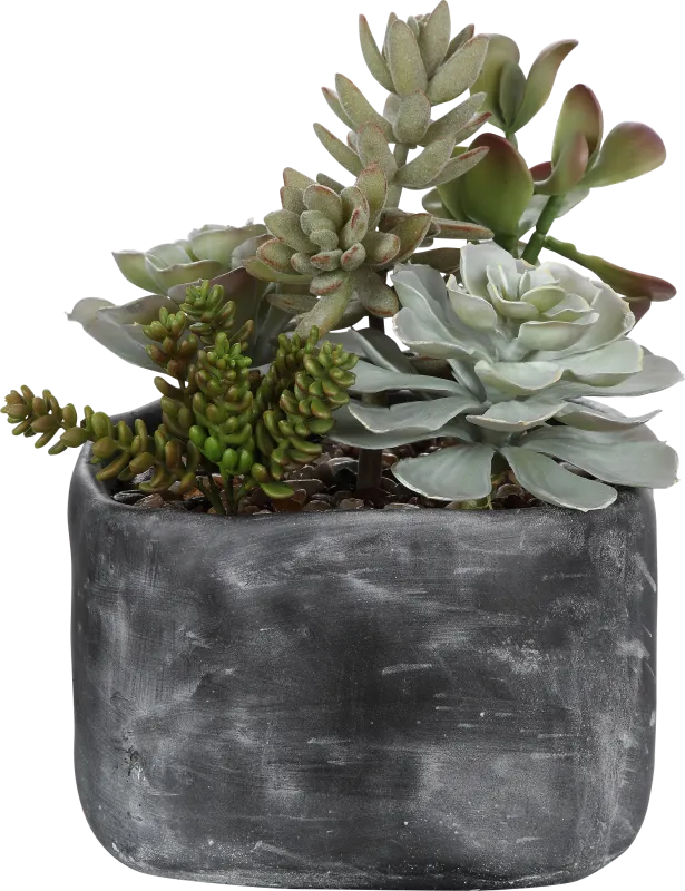 Dezlyn Gray Decorative Plant