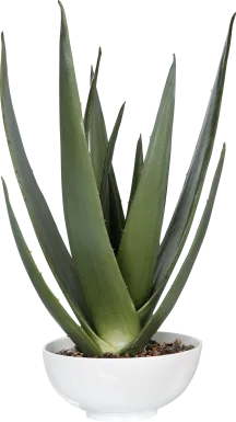 Naura White Decorative Planter