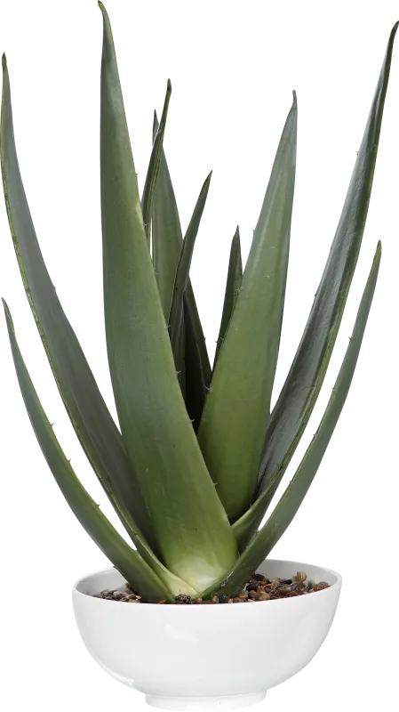 Naura White Decorative Planter