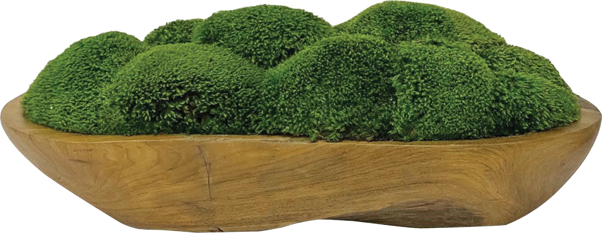 Niris Brown Decorative Plant - Thumbnail - Image 1