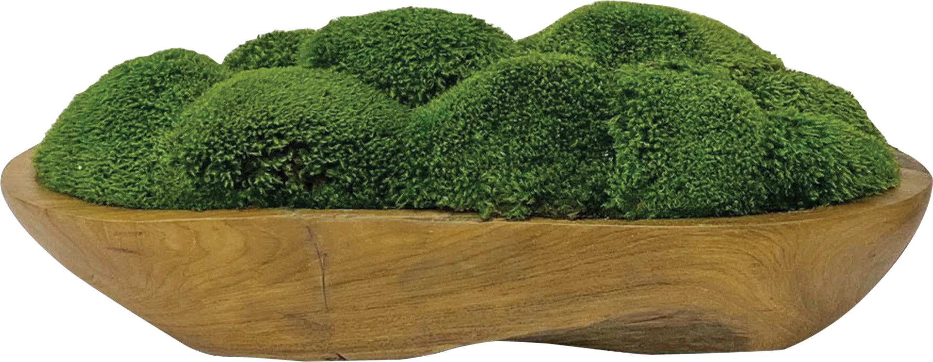 Niris Brown Decorative Plant - Image 1