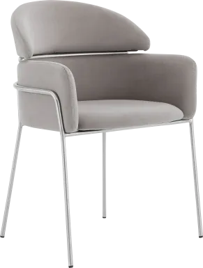 Portalane Gray Dining Chair, Set of 2