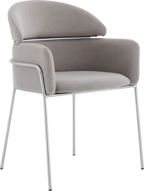 Portalane Gray Dining Chair, Set of 2
