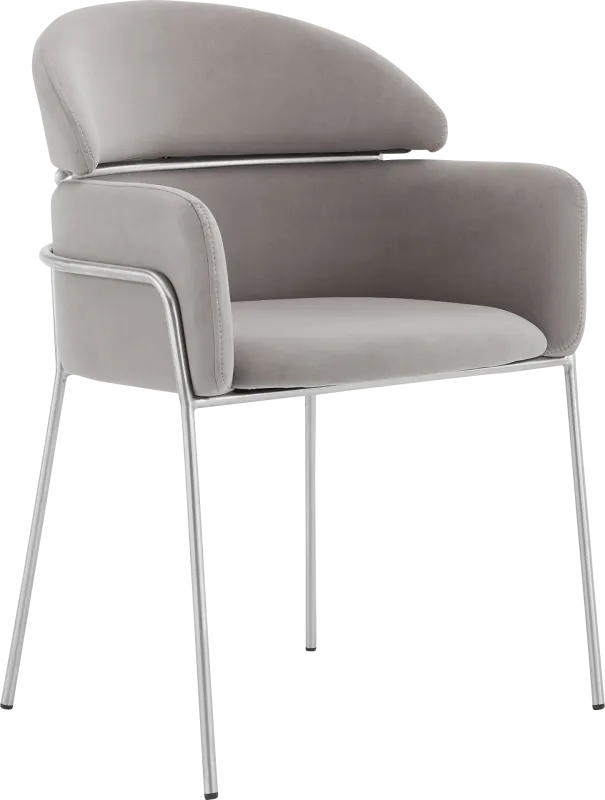 Portalane Gray Dining Chair, Set of 2
