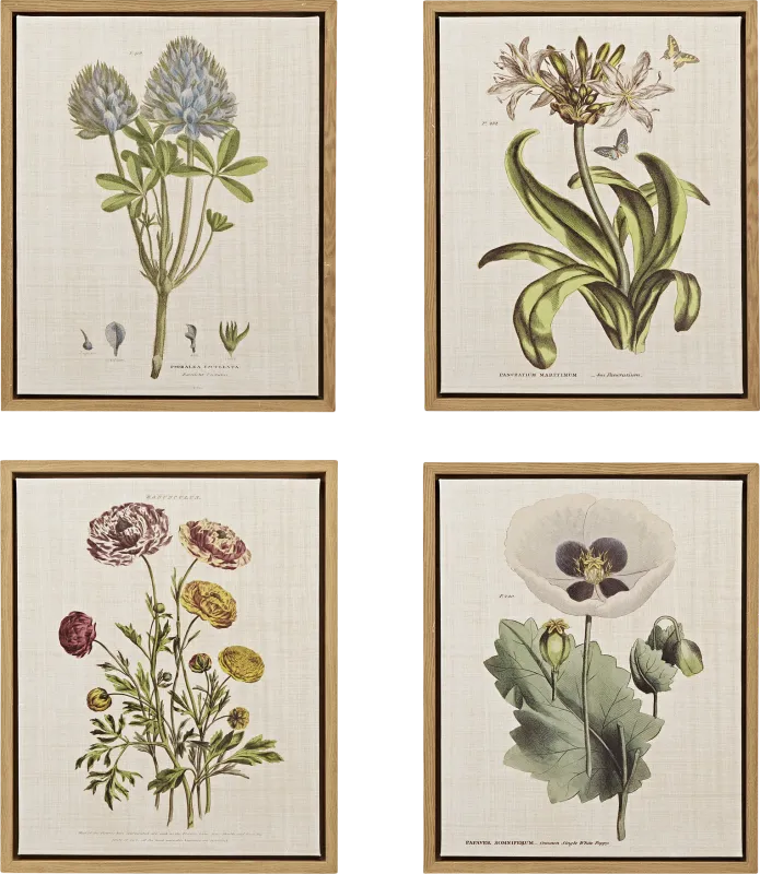 Nucham Green Artwork, Set of 4