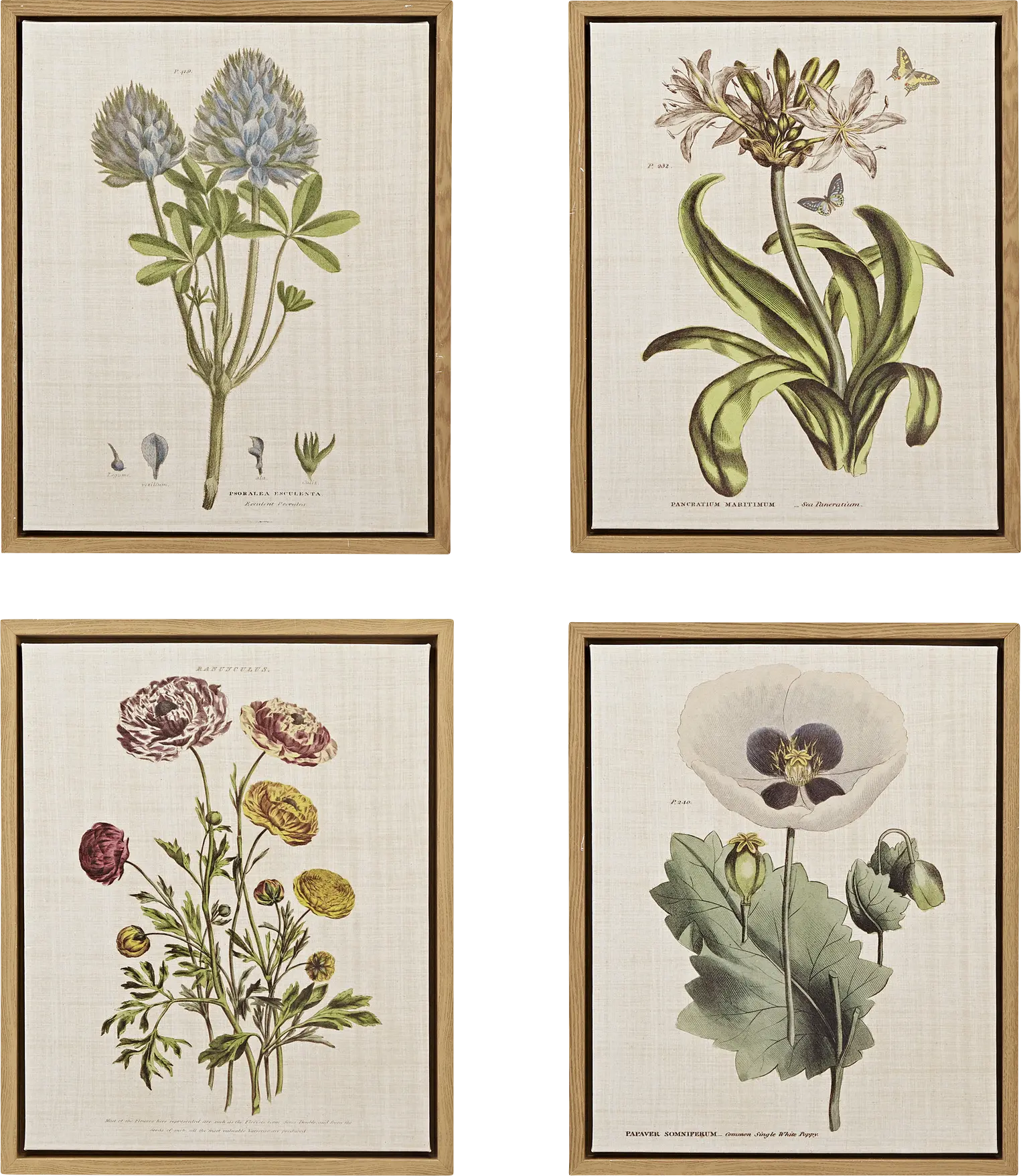 Nucham Green Artwork, Set of 4