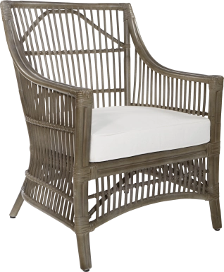Onalynn Gray Accent Chair