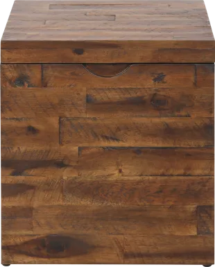 Eclanens Dark Brown Storage Trunk