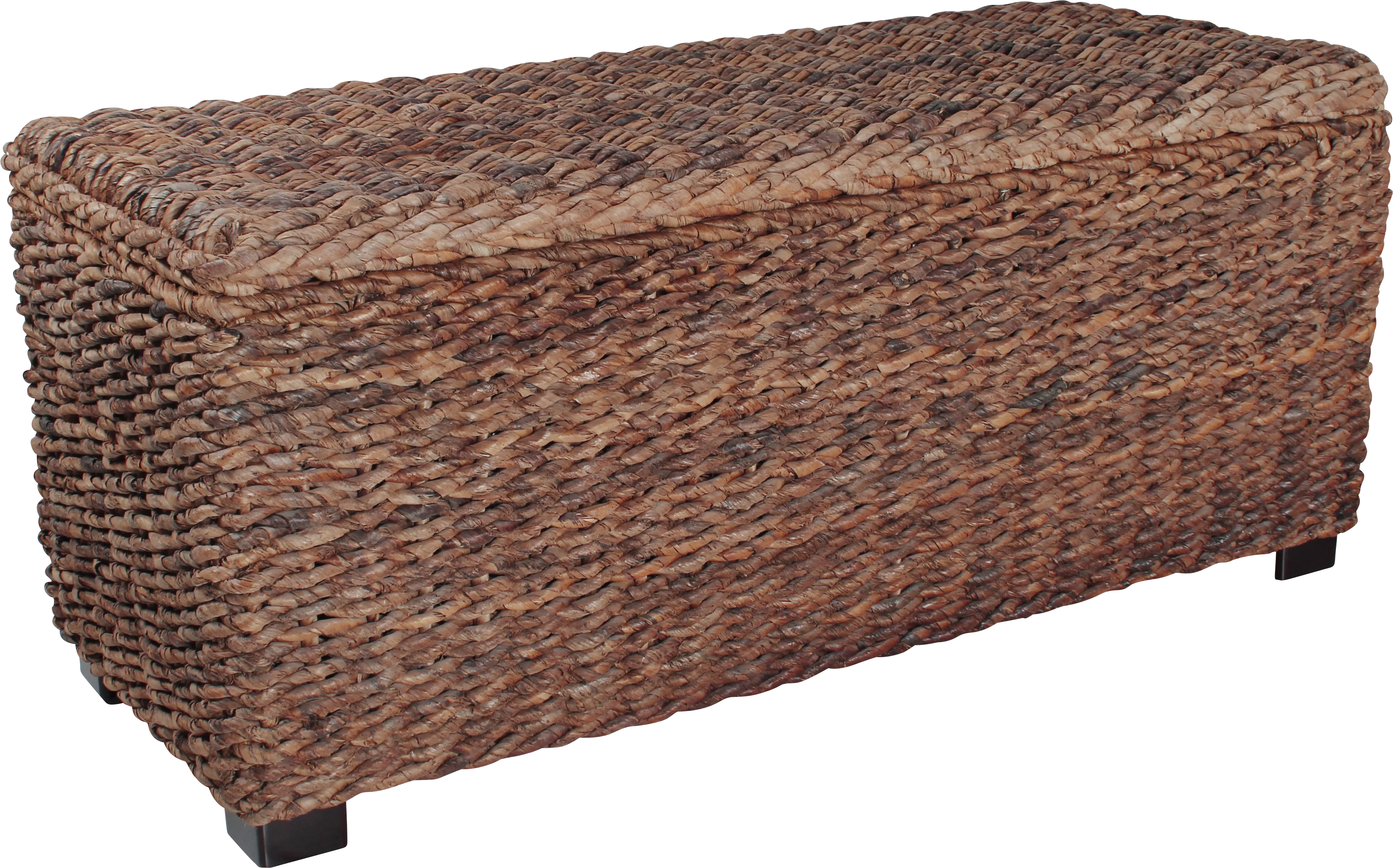 Elaney Ann Brown Storage Trunk - Thumbnail - Image 1