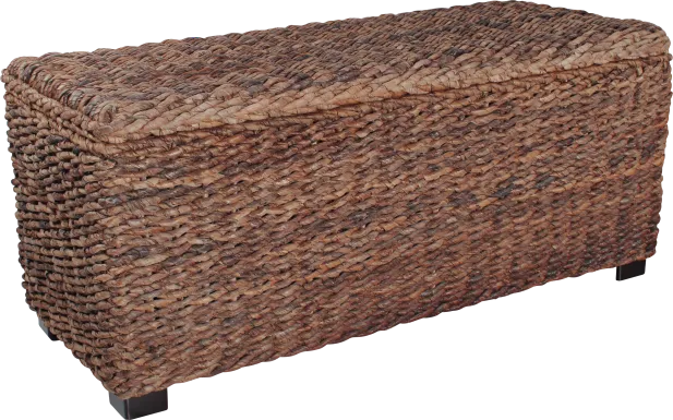 Elaney Ann Brown Storage Trunk