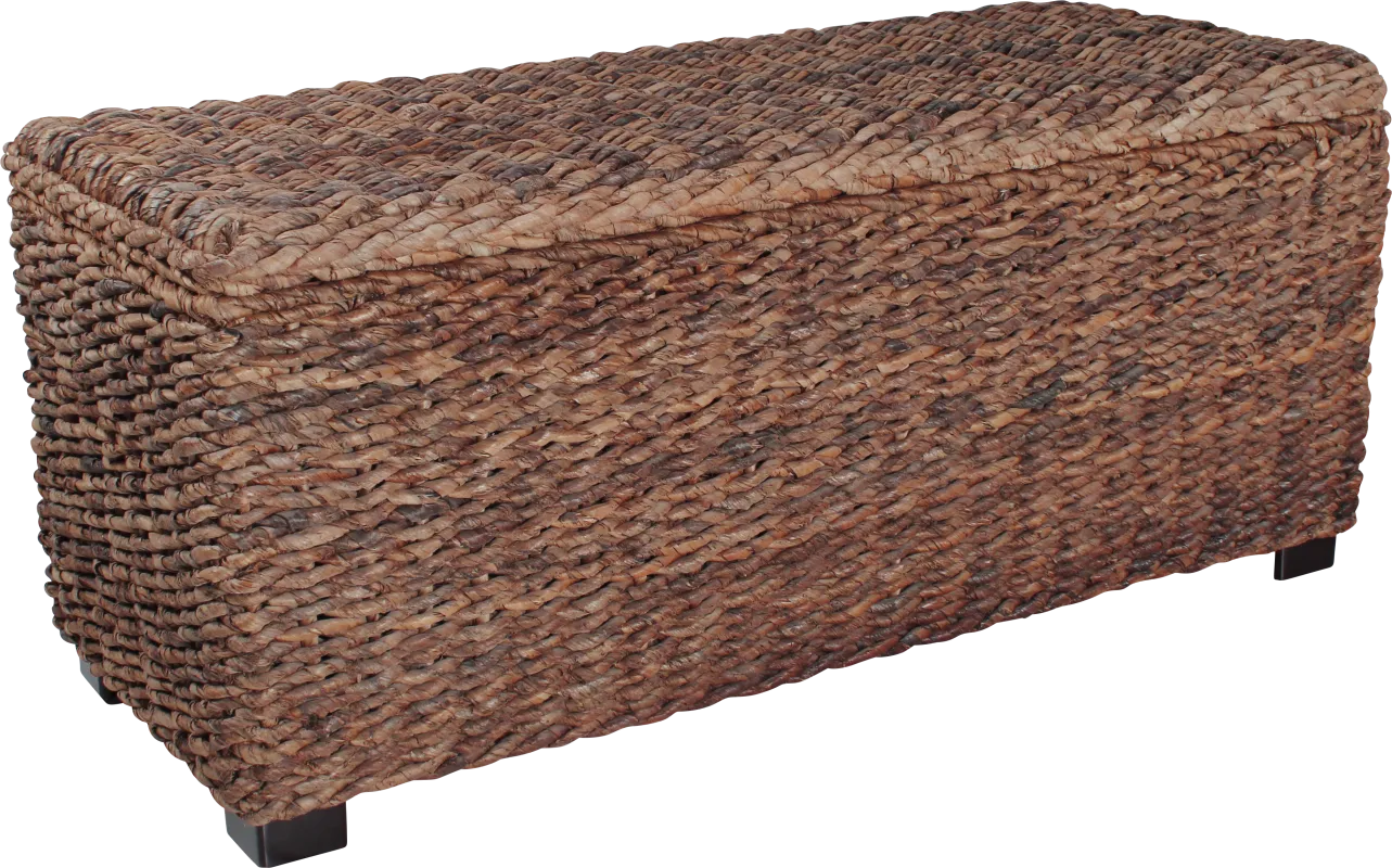 Elaney Ann Brown Storage Trunk