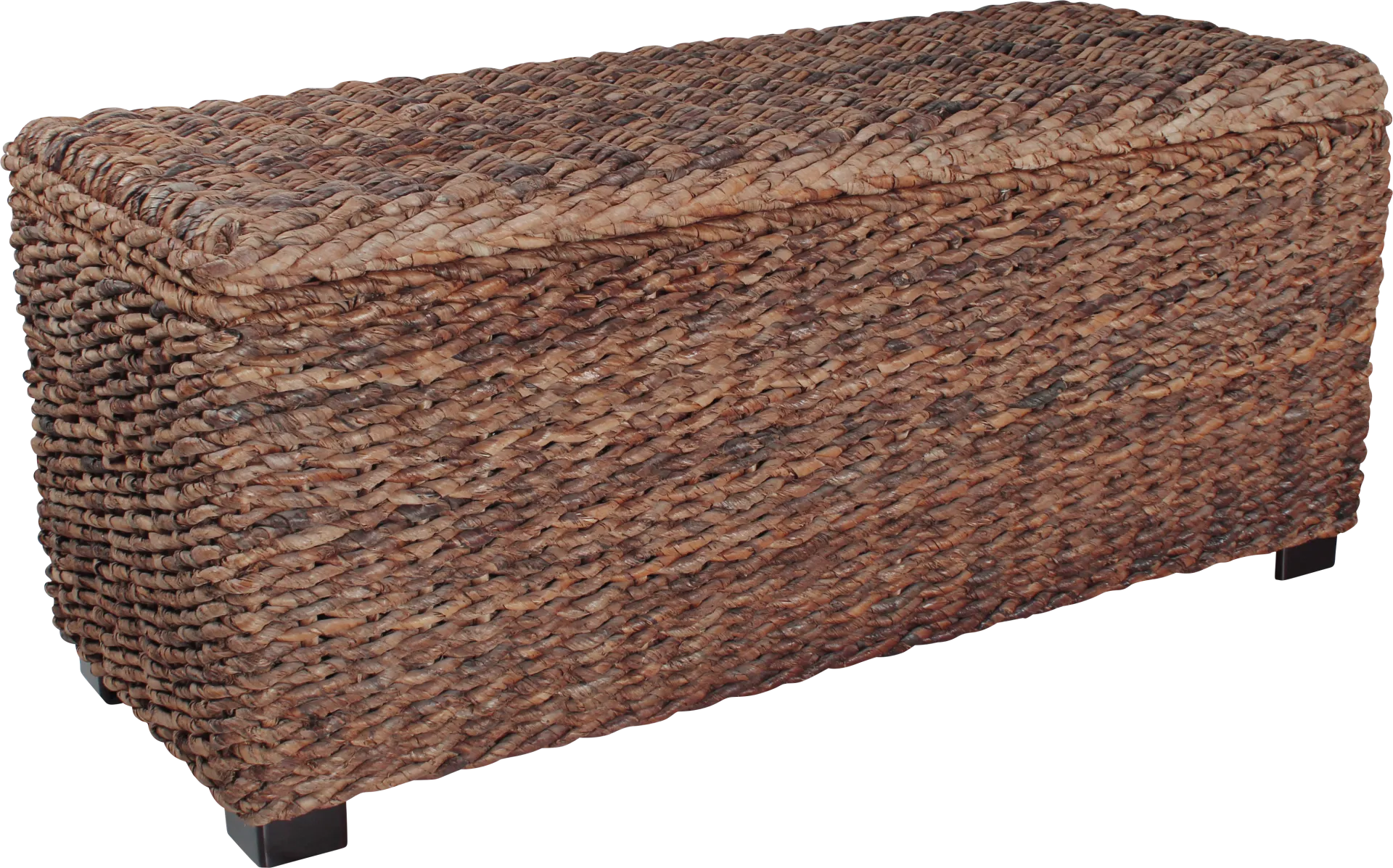 Elaney Ann Brown Storage Trunk - Image 1