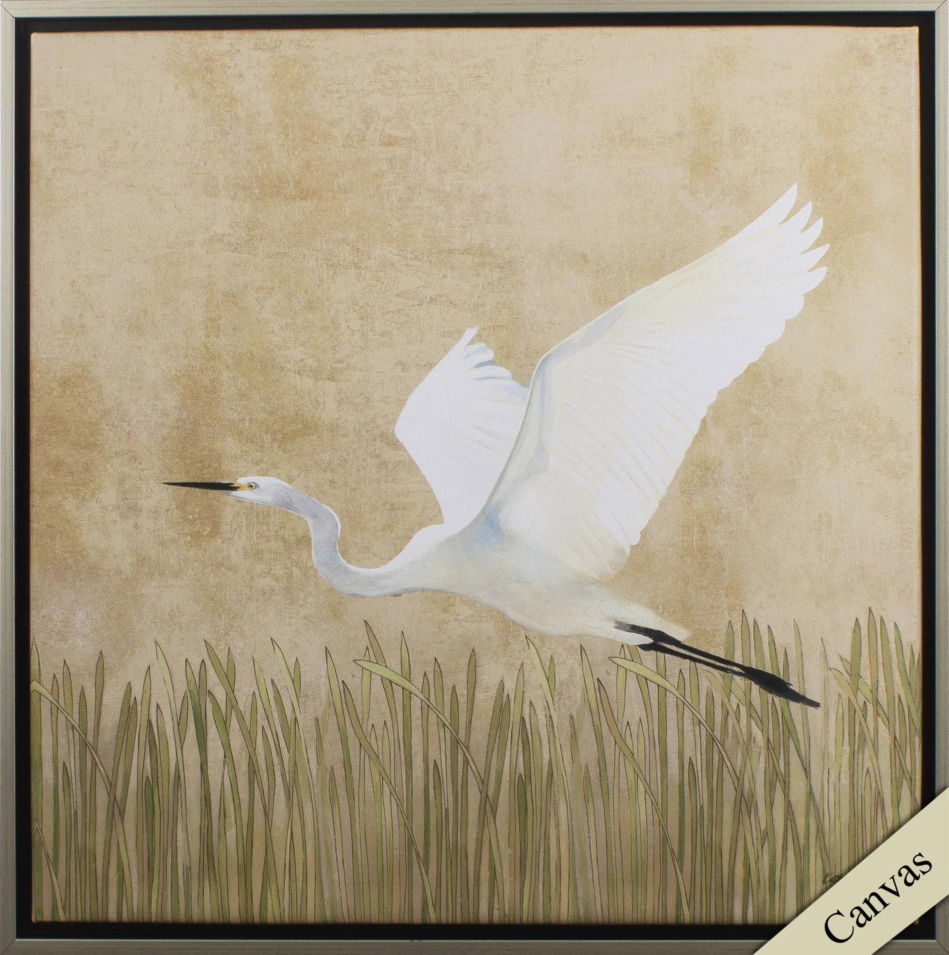 Agapanthus II Beige Wall Art - Image 1