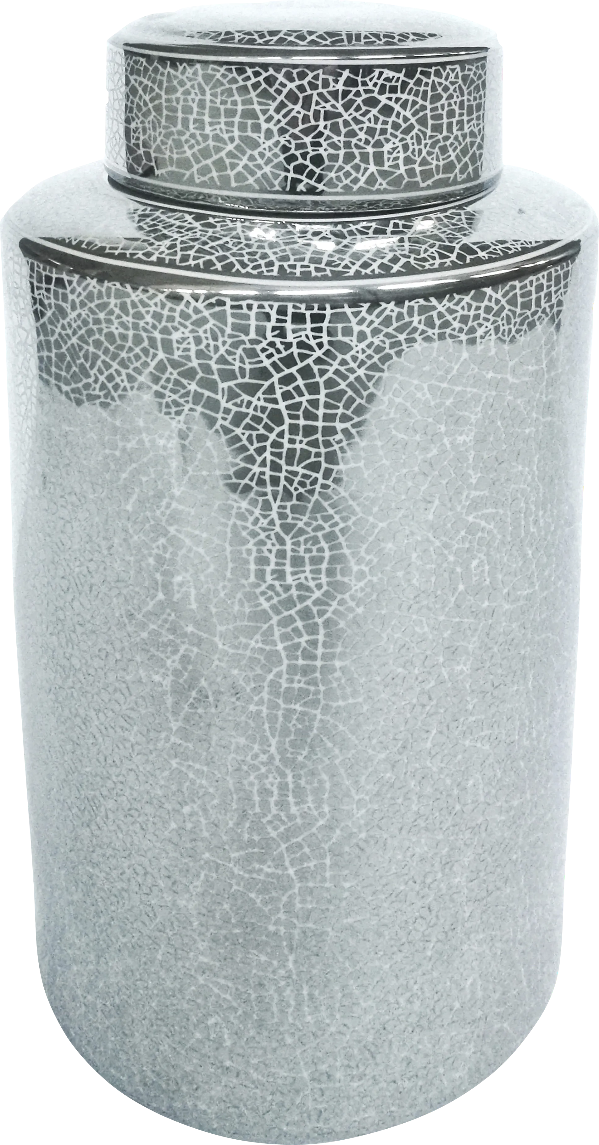 Holtzmann Silver Jar - Image 1