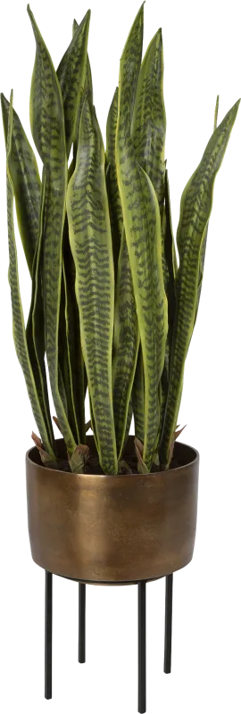 Gloriadale Green Faux Snake Plant