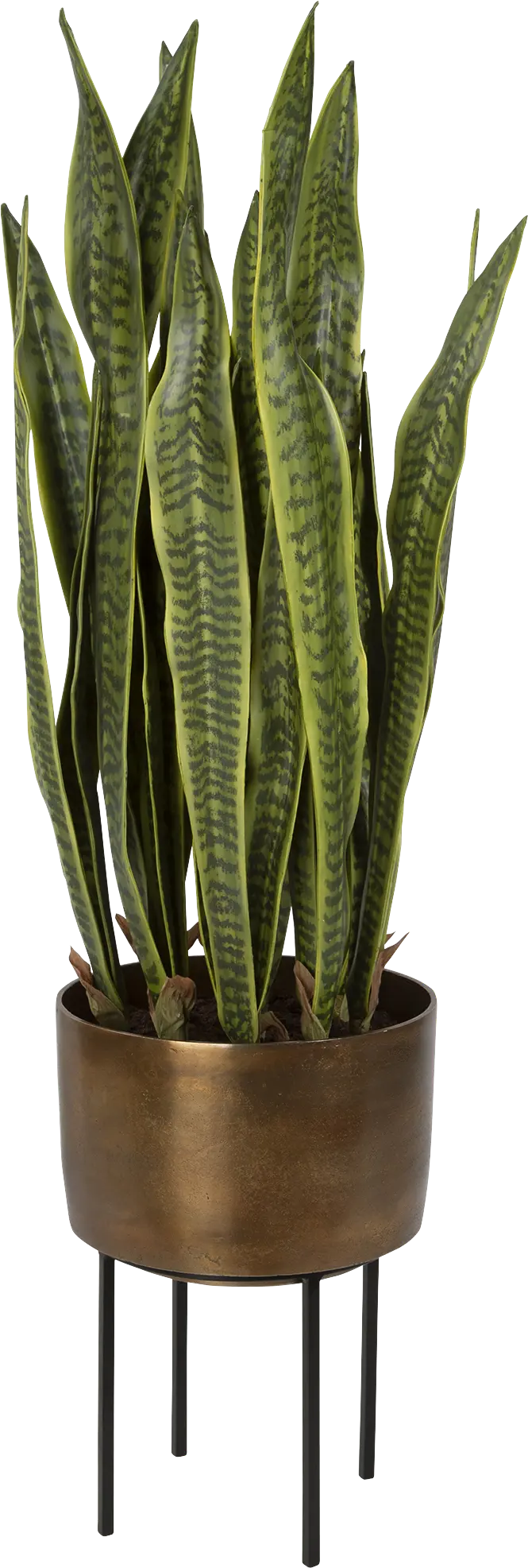 Gloriadale Green Faux Snake Plant