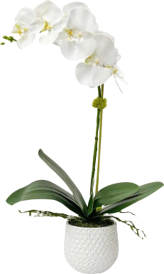 Gosson White Faux Orchid