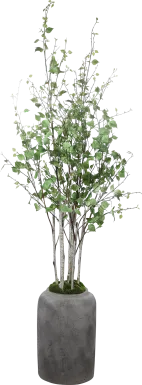 Hayles Green Faux River Birch