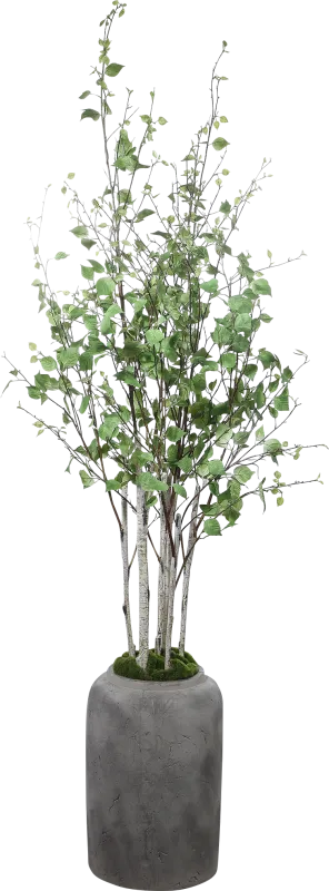 Hayles Green Faux River Birch