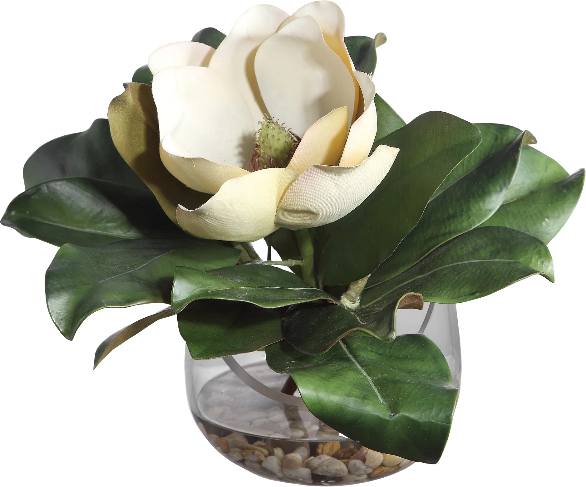Hazeur White Silk Magnolia - Image 1